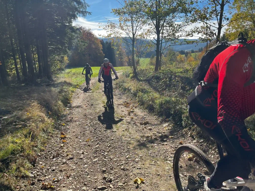 Wypożyczalnia rowerów Ski-Maxx